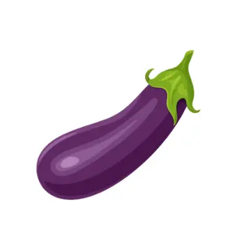 brinjal (5)-1401298-26998.webp